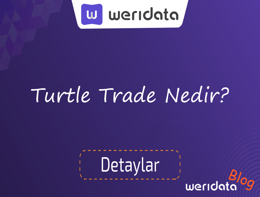 Turtle Trade Nedir ?