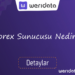 forex sunucusu nedir