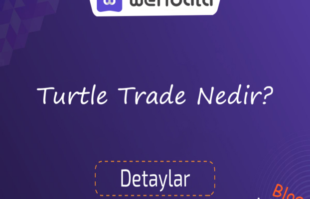 Turtle Trade Nedir ?